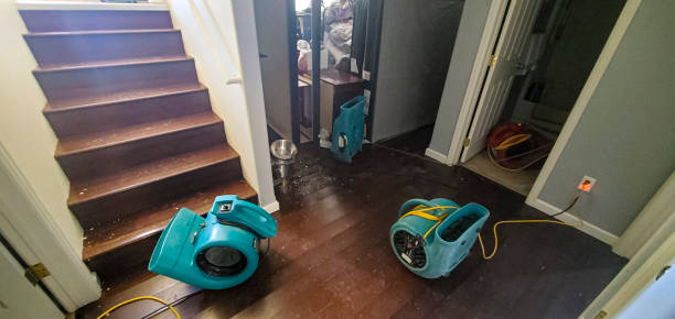 Best Flood restoration services  in Bradford, TN