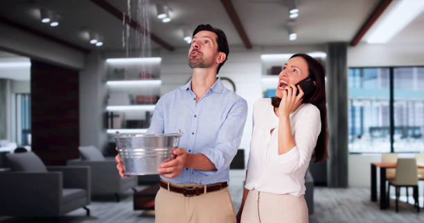 Best Basement water damage restoration  in Bradford, TN