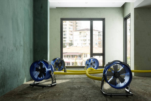 Best Water damage repair service  in Bradford, TN